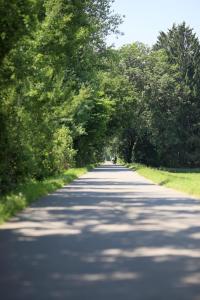 Φωτογραφία από το άλμπουμ του P-Hosting Kitten Manor im Kurort Bad Waldsee σε Bad Waldsee