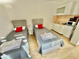 Kuchyň nebo kuchyňský kout v ubytování A&A Apartments