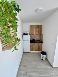 Kuchyň nebo kuchyňský kout v ubytování A&A Apartments
