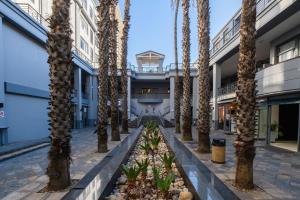 Cape Town Studio - Table Mountain Views, Gym, Free Parking, Free WiFi في كيب تاون: صف من أشجار النخيل أمام مبنى