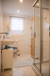 een badkamer met een douche en een wastafel bij Wohnung Pinot in Seenähe in Friedrichshafen +16 foto's
