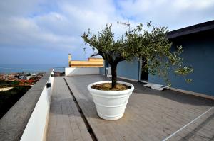 Fotografie z fotogalerie ubytování 7venti v destinaci Francavilla al Mare