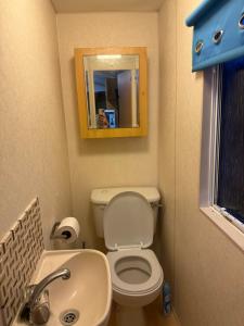 a small bathroom with a toilet and a sink at N&L Caravan Hire, The Highbury Caravan Park in Ingoldmells