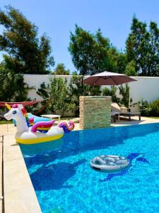 a swimming pool with two inflatable animals and an umbrella at Magnifique villa Olfa in Hammamet