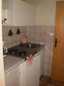 une cuisine avec un évier et un plan de travail dans l'établissement Ferienwohnung In Gästehaus Mit Fahrradverleih, à Goosefeld