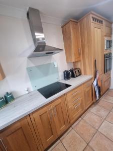 a kitchen with wooden cabinets and a sink at The Oyster Hideaway Clarinbridge in Coldwood