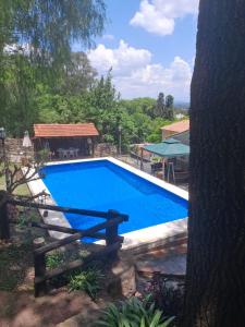 a large blue swimming pool next to a tree at Un espacio en la naturaleza in Salta +13 photos