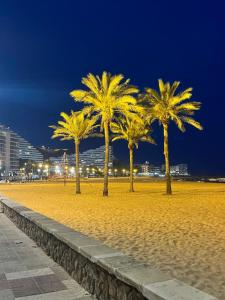 a row of palm trees on a beach at night at Cataleya Apartment in Cullera
