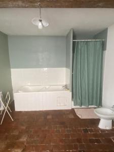 a bathroom with a bath tub and a toilet at Maison Belle Croix in Châtillon-Coligny +11 photos