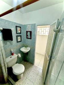 a bathroom with a toilet and a sink and a shower at Squid Hostel in Santa Marta +34 photos