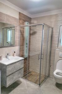 a bathroom with a shower and a sink and a toilet at Apartments with swimming pool Bacici, Krka - 24721 in Drinovci +7 photos