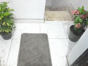 three potted plants are sitting on a tile floor at yaso apartment in Cairo