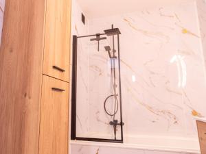 ウェステンデにあるApartment with frontal sea viewのバスルーム(鏡付きシャワー付) +18枚の写真