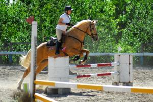 a woman riding a horse jumping over an obstacle at Cabañas La FLorencia in Magdalena