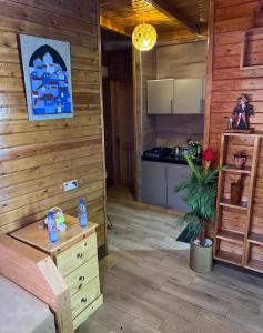 Kuchyň nebo kuchyňský kout v ubytování Hotel nabil