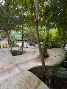 Ein Park mit Skatepark, Bäumen und einer Rampe in der Unterkunft ShakaBrah Beachfront Hostel in General Luna + 75 Fotos