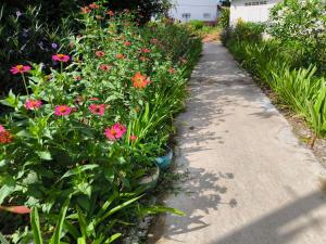 Zahrada ubytování Dok Champa Resort + 46 fotografií