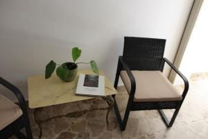 ein Stuhl und ein Tisch mit einer Pflanze und einem Buch in der Unterkunft Lyberty in Randazzo
