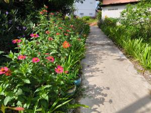a garden with pink flowers and a sidewalk at Vang Vieng Champa Resort in Vang Vieng