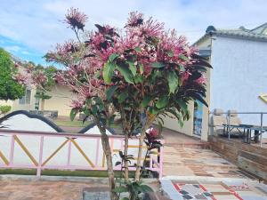 Zahrada ubytování Tianyuan Nanwan Homestay