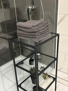 a glass shelf with towels on it in a bathroom at Superior XL - 110qm - 9 Personen Central Rooftop - 20 min to Hamburg in Elmshorn