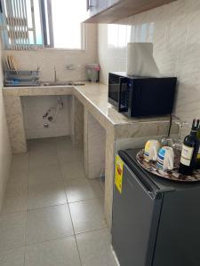 a small kitchen with a counter with a microwave at K-Rose Guesthouse and Travel Lodge in Accra