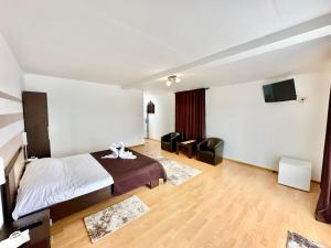 a bedroom with a bed and a tv in it at Casa Verde in Orşova