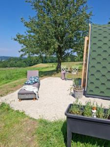 a patio with a chair and a tree in a field at Wildkraut's Kräuter- und Alpakabauernhof in Kremsmünster +36 photos