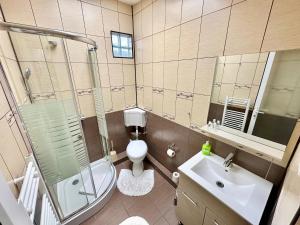 a bathroom with a shower and a toilet and a sink at Casa Verde in Orşova +25 photos