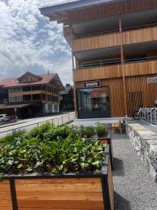 Fotografie z fotogalerie ubytování Ferienwohnung Rubio über Craftbier-Brauerei v destinaci Ringgenberg