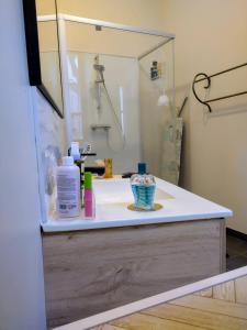 een badkamermeubel met een wastafel en een spiegel bij L'appart Millau Centre-Ville - Gite in Millau +33 foto's