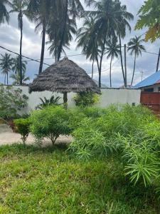 a straw umbrella in the grass with palm trees at Mambo Leo Hostel in Paje