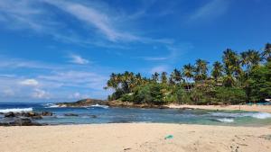 Příroda nedaleko hotelu