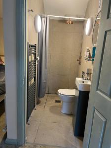 a bathroom with a toilet and a shower and a sink at Tracey's Farmhouse Cottage in Belfast +24 photos