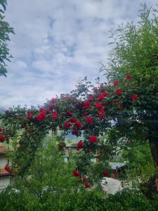 Giardino di The Mountain Lodge Manali !! Scenic Mountain View ! Parking ! Restaurant ! Tasty Food ! Preferred Property
