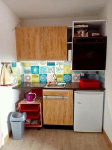 a small kitchen with a sink and a refrigerator at joli studio vue montagne in Allos +14 photos