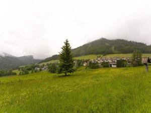 Príroda v okolí horskej chaty