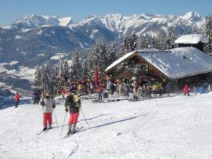 Hosté ubytování Mansion in Eben near Ski Salzburger Sportwelt