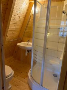 a bathroom with a shower and a toilet and a sink at AA Apartman - Tópart in Kaposvár
