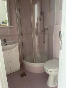 a bathroom with a shower and a toilet and a sink at Apartment Lana Maris studio 2 - 200m from beach, terrace with sea view, wi-fi and free parking in Dramalj