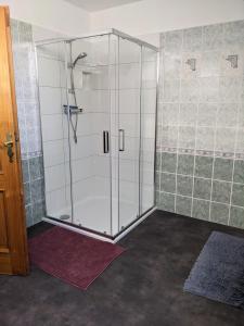 a shower with a glass door in a bathroom at Luxe Appartement Hertvíkovice in Vlcice