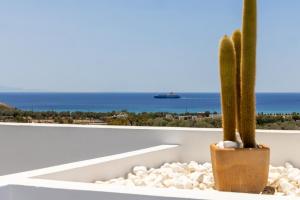 Naturlandskabet i nærheden af villaen