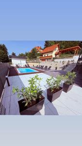 two pictures of a swimming pool with plants in pots at PJ Resort - Pool & Mountain View in Cerklje na Gorenjskem +66 photos