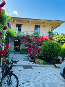 Jardí fora de Guesthouse Mtkvari