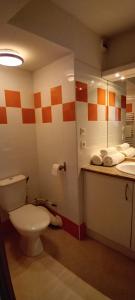 a bathroom with a toilet and a sink at Charmant T2 avec piscine, idéal pour les curistes in Vernet-les-Bains +6 photos