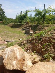 a hill with some rocks and trees on a field at Rive rosse in Masserano +4 photos