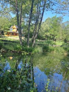 a cabin in the woods next to a pond at Casuta din padure in Breb