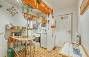 Η κουζίνα ή μικρή κουζίνα στο Ferienwohnung Nepperminusedom