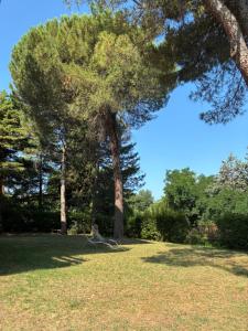 Photo de la galerie de l'établissement BASISA Bed&Breakfast, à San Lazzaro di Savena