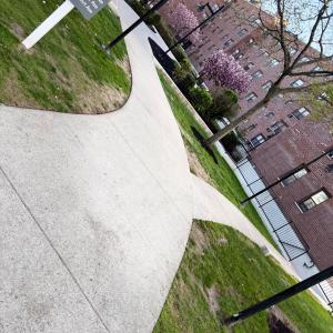 Fotografie z fotogalerie ubytování Welcome to New Rochelle Studio v destinaci New Rochelle